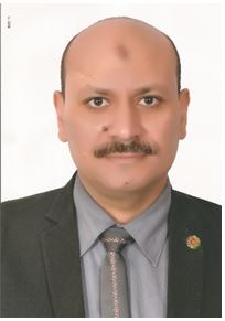 stephypublishers-Zakaria Fouad Fawzy Hassan